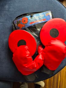 childrens boxing gloves and pads