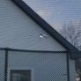 Trampoline Image 8