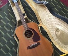 Takeharu Guitar WT-100 (1976)