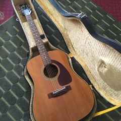 Takeharu Guitar WT-100 (1976)