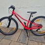 Trek Precaliber Mountain Bike Image 4