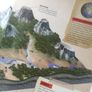 Dinosaur Fact Book Image 2