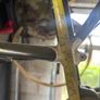 Specialized allez epic original carbon with aluminum joints Image 9