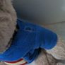 Teddy from Spain Image 3