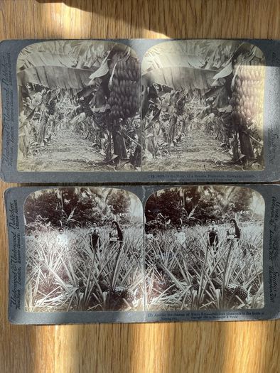 Underwood & Underwood Stereoscope
