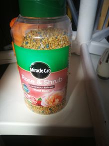 Plant feed