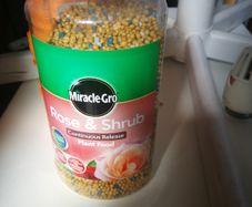 Plant feed