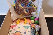 Dinosaur themed kids party supplies