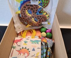 Dinosaur themed kids party supplies