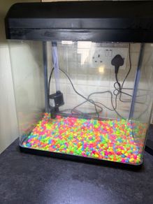 fish tank