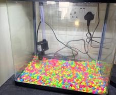 fish tank
