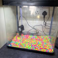 fish tank