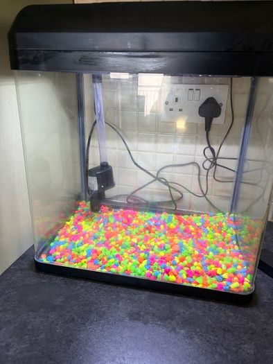 fish tank
