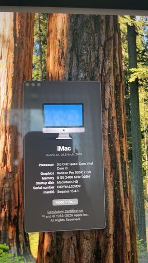 iMac Retina 4K, 21.5 inch, 2019