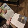 Apawthecaria TTRPG Book Image 6