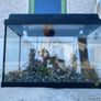 fish tank Image 2