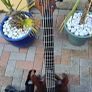Solar 5 String Bass. Natural Satin Finish Image 3