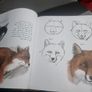 Drawn to Nature: Encounters With Irish Nature (Hardcover) Image 6