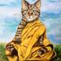 Rama Halo