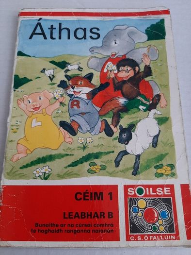 Gaeilge Fallons vintage school books