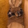 Urban Pup Dog Coat Image 6