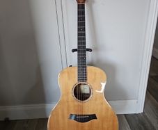 Taylor GS8e