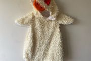 Costume (age 2-3)