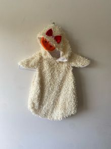 Costume (age 2-3)