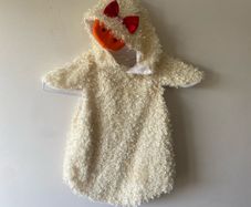 Costume (age 2-3)
