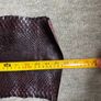Snake Skin Image 4