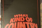What Kind Of Country: Modern Irish Politics 1968-1983 by Bruce Arnold