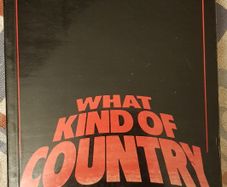 What Kind Of Country: Modern Irish Politics 1968-1983 by Bruce Arnold