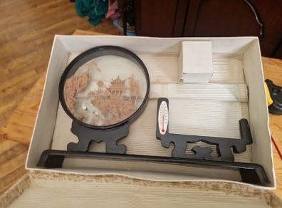 chinese cork diorama