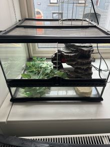 Exo Terra 18" Terrarium