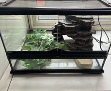 Exo Terra 18" Terrarium