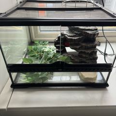 Exo Terra 18" Terrarium