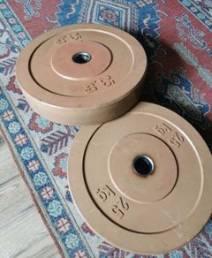 25kg Weight plates