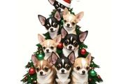 Chihuahua Decoration
