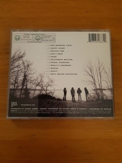 Kings of Leon - Youth & Young Manhood album