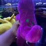 Barney Bj And Baby Bop Image 6