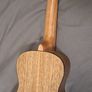 Kala KA-PWC Walnut Concert Ukulele Image 2