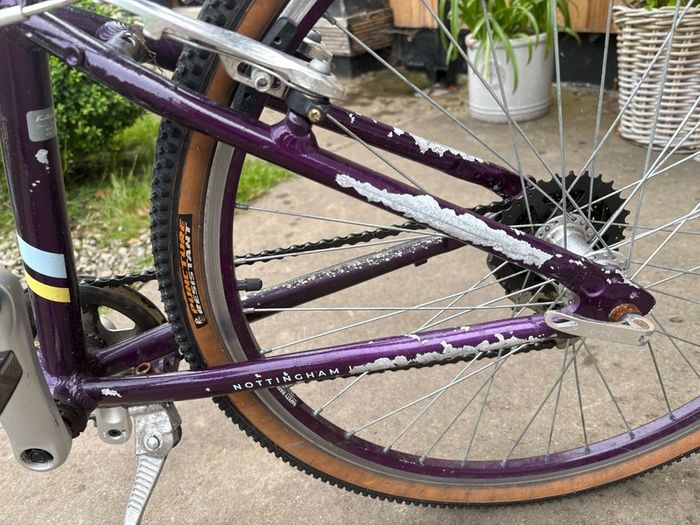 Raleigh Pop 26inch girls bike