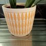 Lovely plant with lemon plant pot Image 2