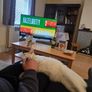 cat Image 4