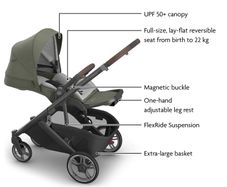 Uppababy Cruz V3 Gwen