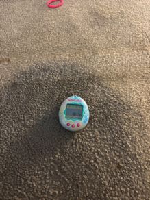 Tamagotchi