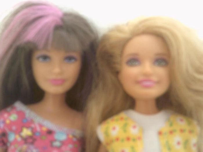 Stacey and Skipper dolls B