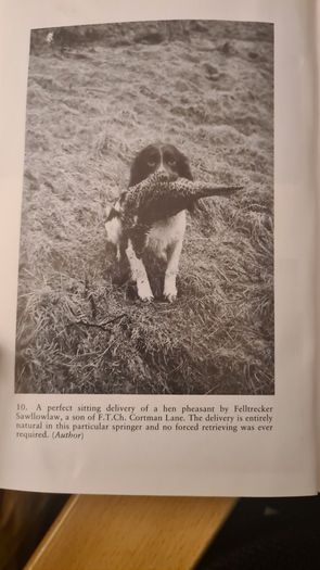 The Working Spaniel. By Keith Erlandson. FIRST EDITION. How To Choose. Train. Work. And Trial Your Dog. Hardback With Dustjacket In Good Condition.