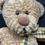 Metro Soft ToyTeddy Bear Image 3