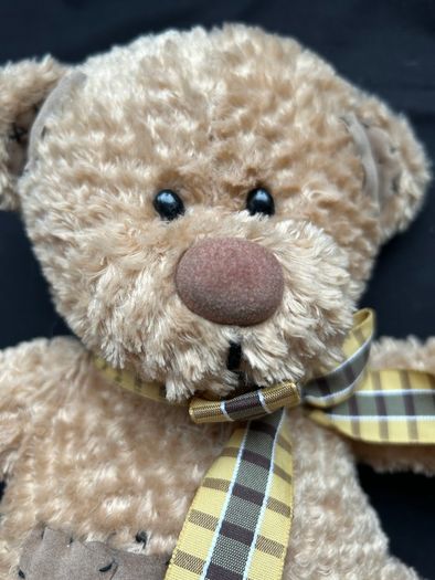 Metro Soft ToyTeddy Bear